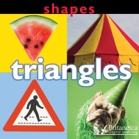 Cover image: Shapes: Triangles 1st edition 9781625138439