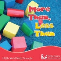 Immagine di copertina: More Than, Less Than 1st edition 9781625138590