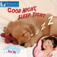 صورة الغلاف: Good Night, Sleep Tight 1st edition 9781625138668