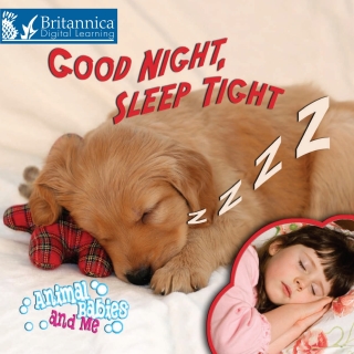 Cover image: Good Night, Sleep Tight 1st edition 9781625138668