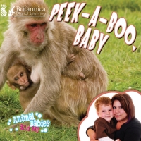 Omslagafbeelding: Peek-a-Boo, Baby 1st edition 9781625138675