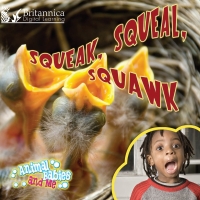 Titelbild: Squeak, Squeal,  Squawk 1st edition 9781625138682