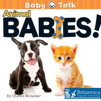 Cover image: Animal Babies! 1st edition 9781625138699