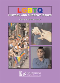 Omslagafbeelding: LGBTQ History and Current Issues 1st edition 9781625138811