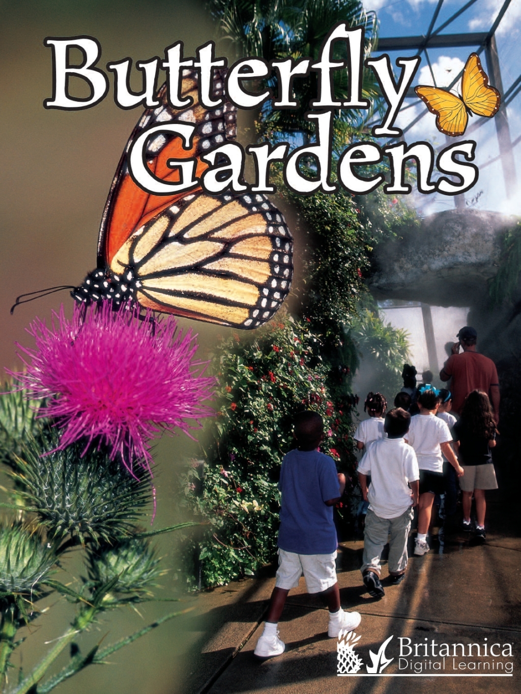 Butterfly Gardens 1st Edition