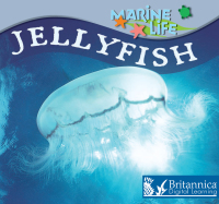 Cover image: Jellyfish 1st edition 9781625139498