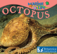 Omslagafbeelding: Octopus 1st edition 9781625139504