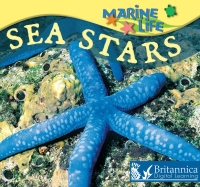 表紙画像: Sea Stars 1st edition 9781625139511