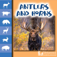 Cover image: Antlers and Horns 1st edition 9781625139535