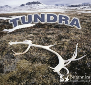表紙画像: Tundra 1st edition 9781625139542
