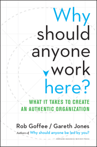 Cover image: Why Should Anyone Work Here? 9781625275097