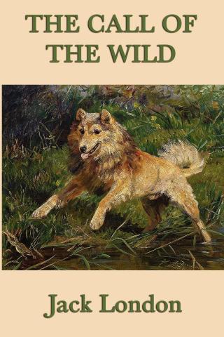Cover image: The Call of the Wild 9781684221684.0