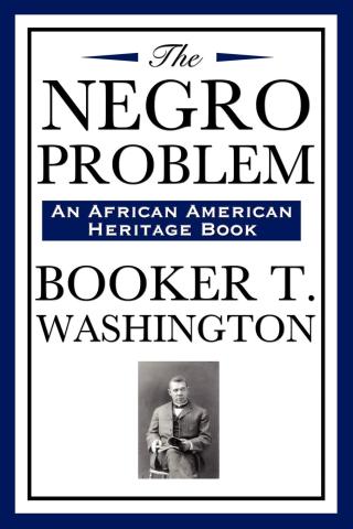 Cover image: The Negro Problem 9781978357433.0