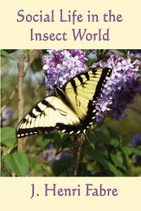 Cover image: Social Life in the Insect World 9781530432196.0