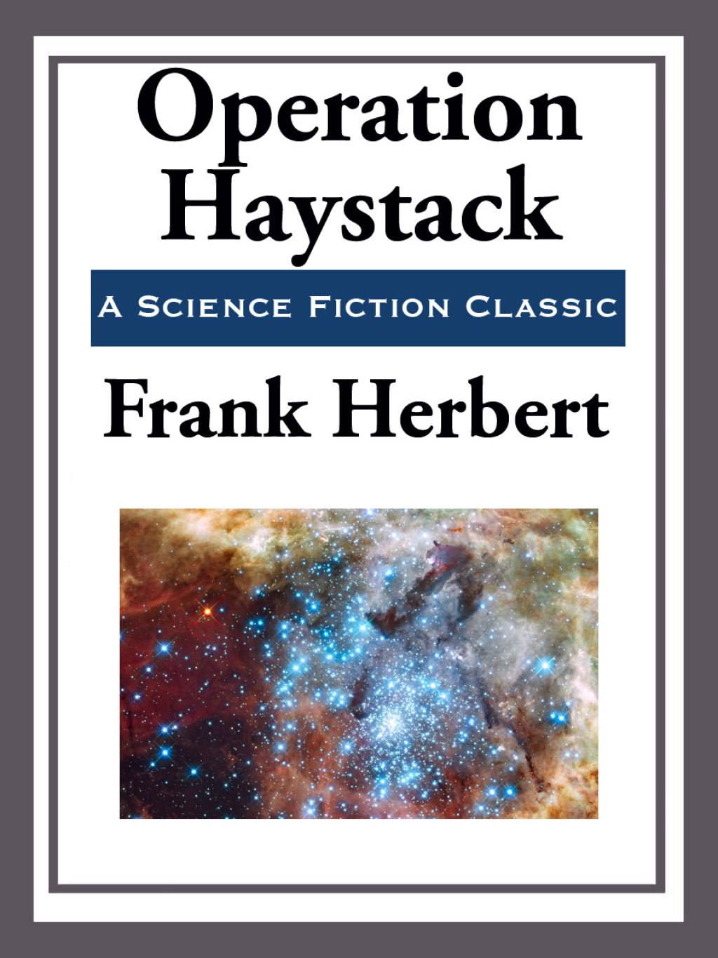 Operation Haystack (eBook)