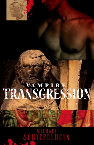 Cover image: Vampire Transgression 9781625670090