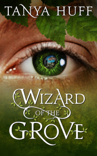 Cover image: Wizard of the Grove 9781625675569