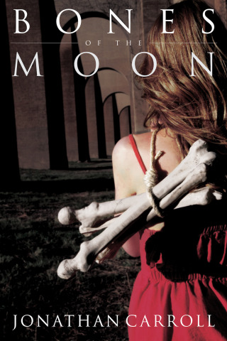 Cover image: Bones of the Moon 9781625677181