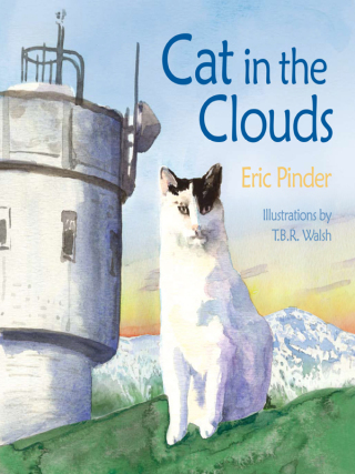 Imagen de portada: Cat in the Clouds 9781467138482