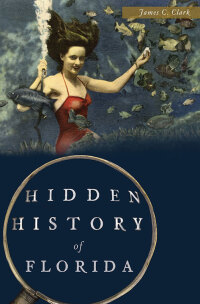Cover image: Hidden History of Florida 9781626199972