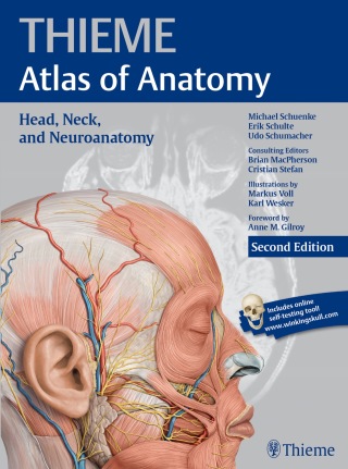 Cover image: Head, Neck, and Neuroanatomy (THIEME Atlas of Anatomy) 2nd edition 9781626231214