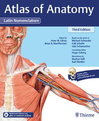 Cover image: Atlas of Anatomy, 3e Latin 3rd edition 9781626235229