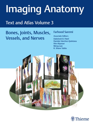 Immagine di copertina: Imaging Anatomy: Text and Atlas Volume 3 1st edition 9781626239845
