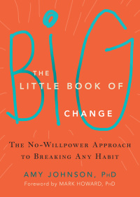 Imagen de portada: The Little Book of Big Change 9781626252301