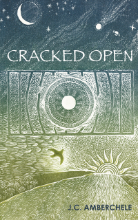 Imagen de portada: Cracked Open 9781908664402