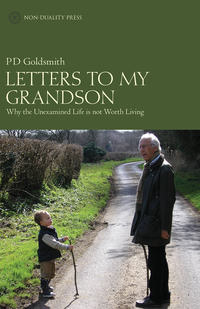 Cover image: Letters to My Grandson 9781908664334