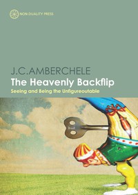 Cover image: The Heavenly Backflip 9781908664235
