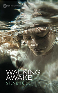 Cover image: Walking Awake 9781908664440