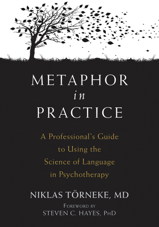 Titelbild: Metaphor in Practice 9781626259010