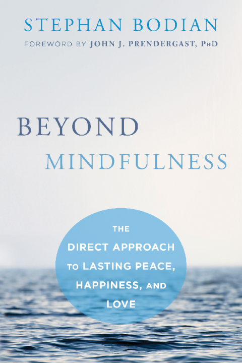 Beyond Mindfulness : The Direct Approach to Lasting Peace, Happiness, and Love - FULL INSTANT DOWNLOAD | PDF DOCX EPUB