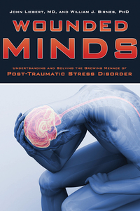 Imagen de portada: Wounded Minds 9781620876503