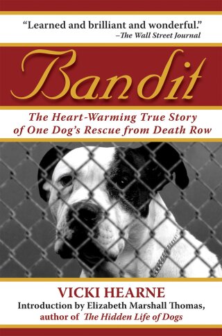 Cover image: Bandit 9781602390706