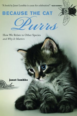 Cover image: Because the Cat Purrs 9781602392359