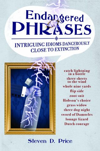 Cover image: Endangered Phrases 9781616082475