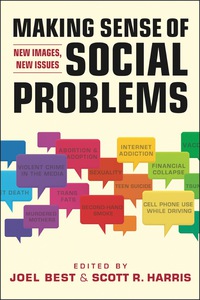 Cover image: Making Sense of Social Problems: New Images, New Issues 1st edition 9781588268808