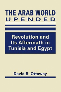 Cover image: The Arab World Upended: Revolution and Its Aftermath in Tunisia and Egypt 1st edition 9781626376205