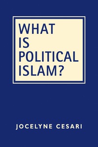 Cover image: What is Political Islam? 1st edition 9781626376922