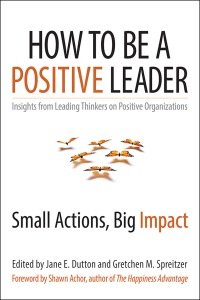 Imagen de portada: How to Be a Positive Leader 1st edition 9781626560284