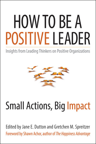 表紙画像: How to Be a Positive Leader 1st edition 9781626560284