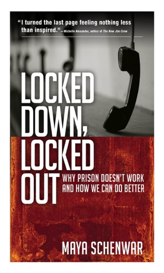 Imagen de portada: Locked Down, Locked Out 1st edition 9781626562691