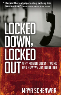 Cover image: Locked Down, Locked Out 1st edition 9781626562691