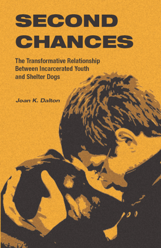 Cover image: Second Chances 9781626711075