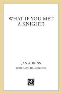 Cover image: What If You Met a Knight? 9781596431485