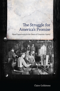 Omslagafbeelding: The Struggle for America's Promise 9781628462449