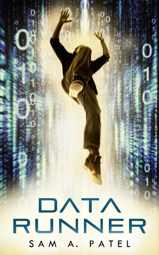 Cover image: Data Runner 9781626810846