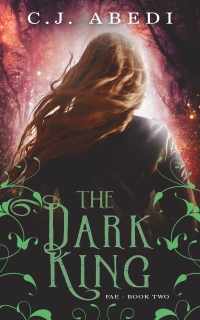 Cover image: The Dark King 9781626812277